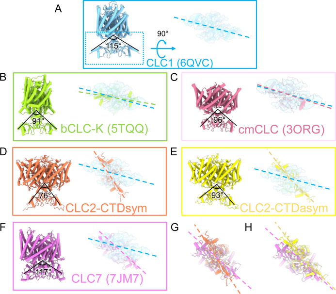 Figure 4—figure supplement 4.