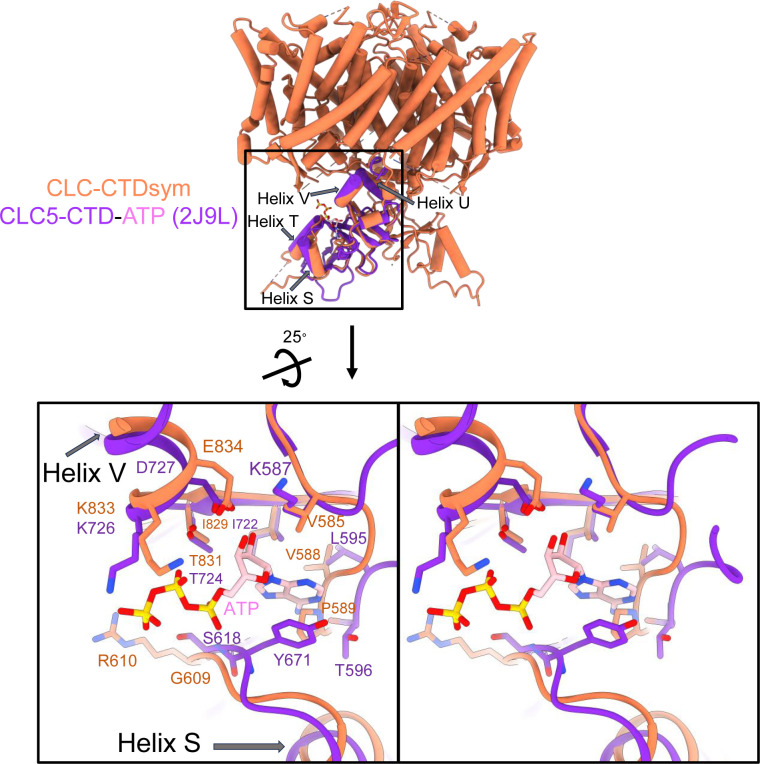 Figure 4—figure supplement 5.