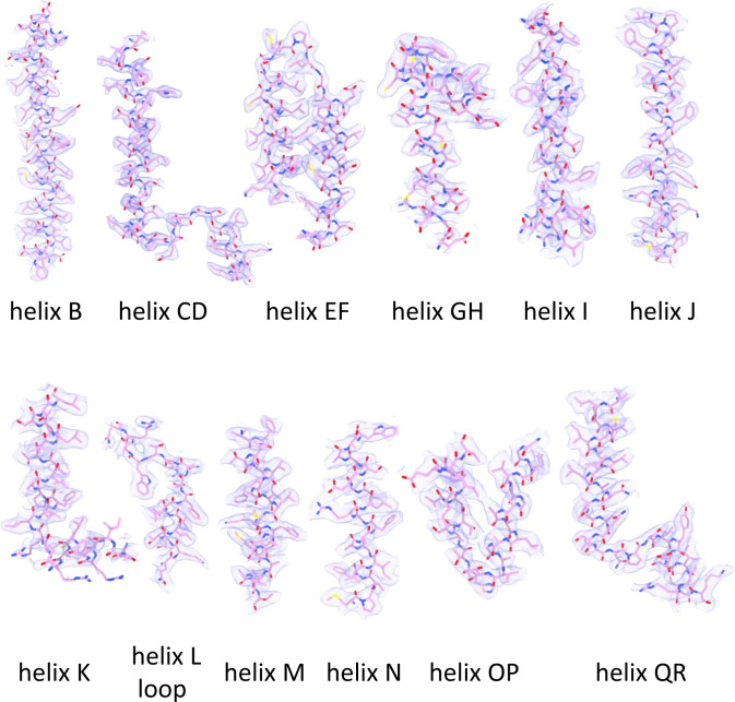 Figure 7—figure supplement 5.