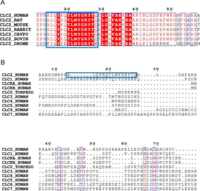 Figure 5—figure supplement 2.