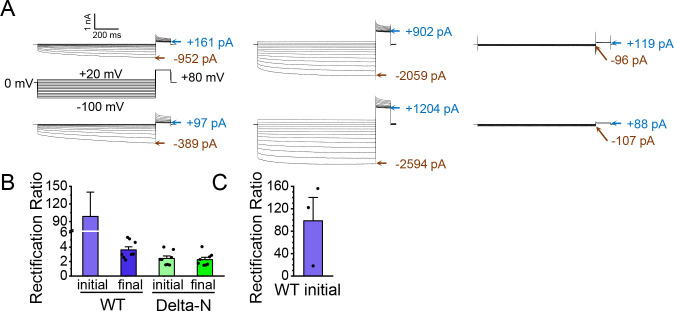 Figure 6—figure supplement 2.