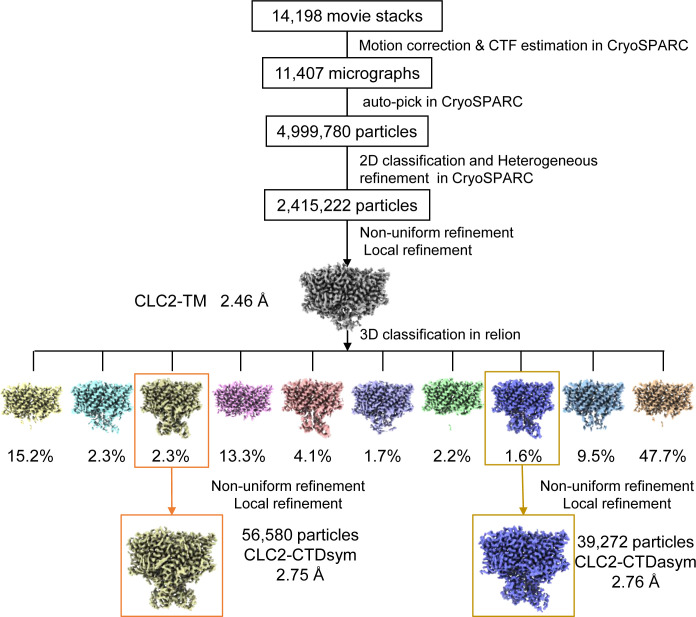 Figure 2—figure supplement 2.