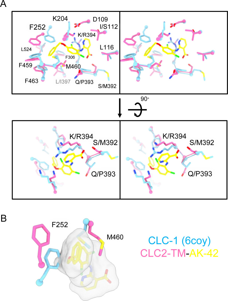 Figure 7—figure supplement 9.