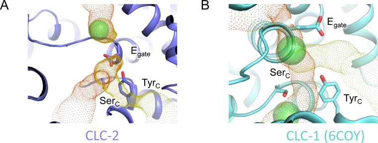 Figure 3—figure supplement 1.