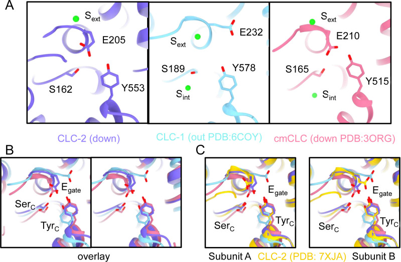 Figure 2—figure supplement 4.