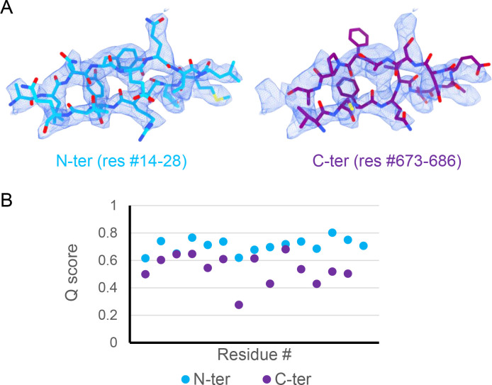 Figure 5—figure supplement 1.