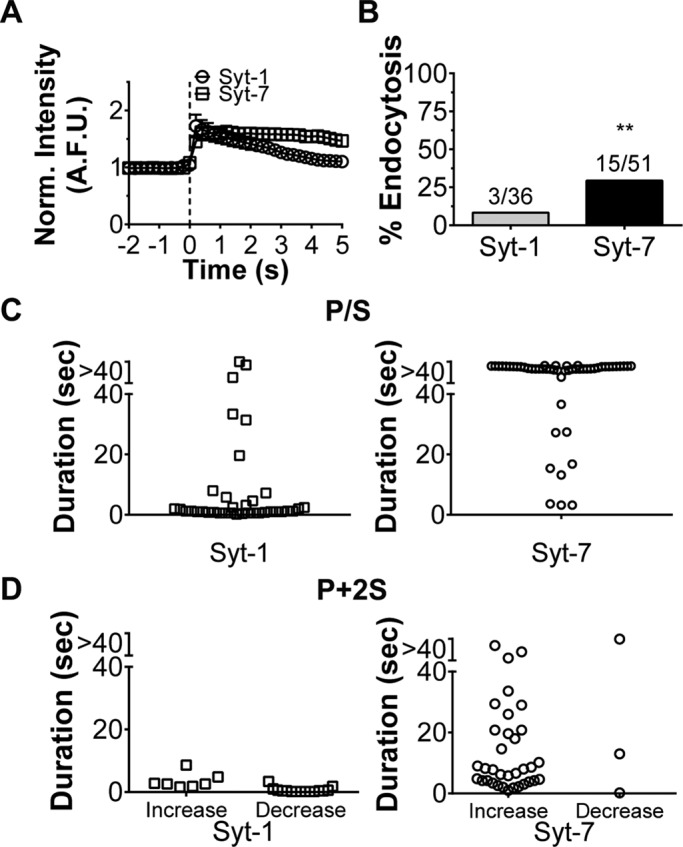 FIGURE 6: