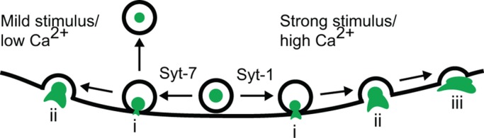 FIGURE 10: