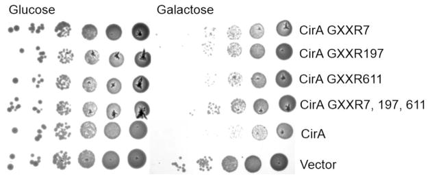 Fig. 2