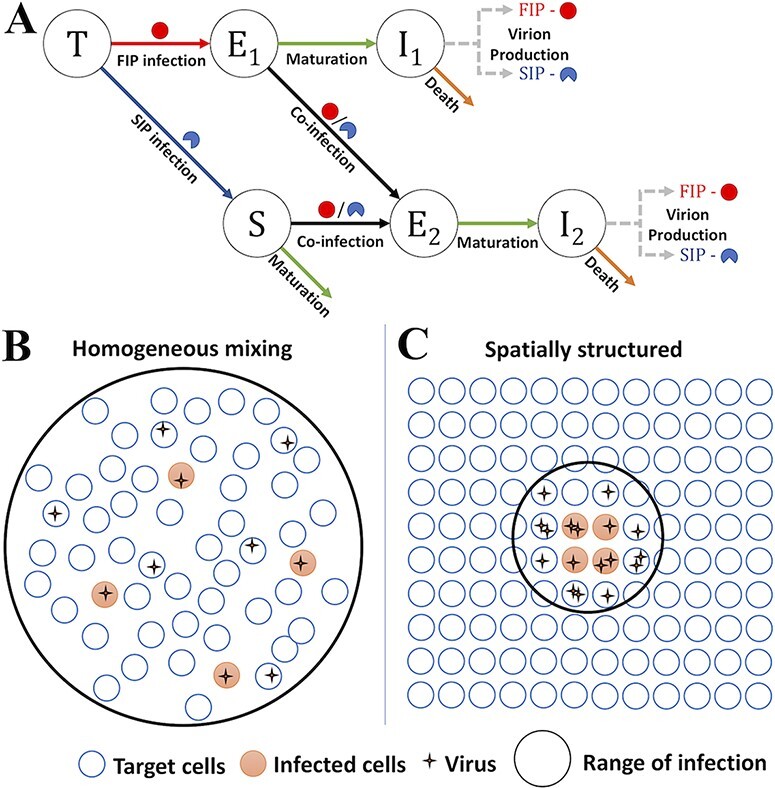 Figure 1.