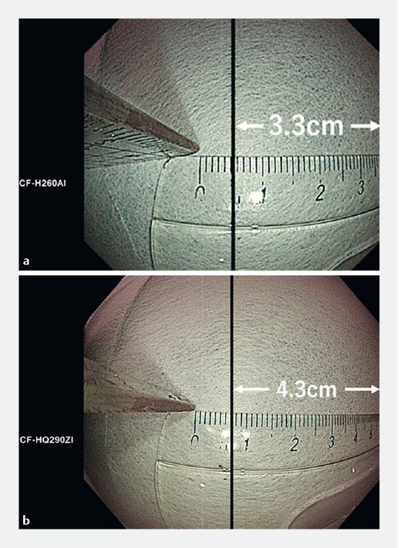 Fig. 1