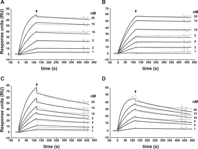 FIGURE 2.