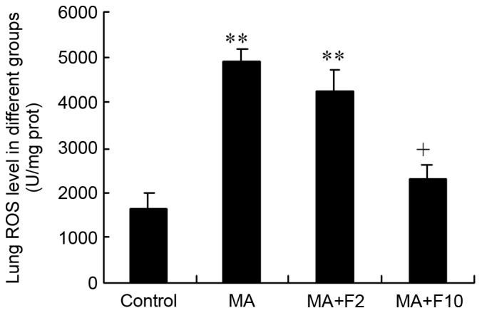 Figure 7.