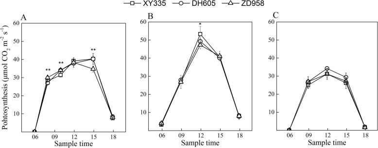 Fig. 3