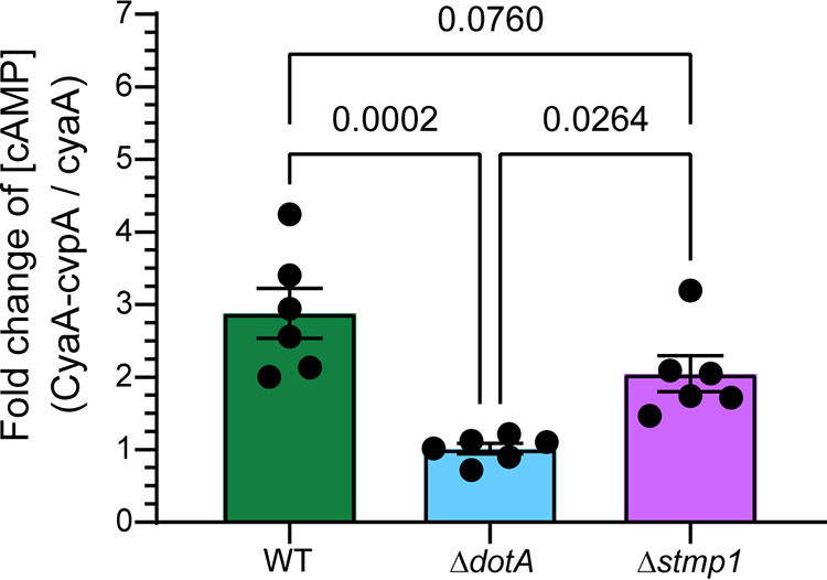 FIG 3