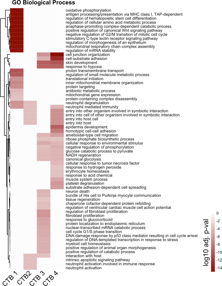 Figure 4—figure supplement 1.