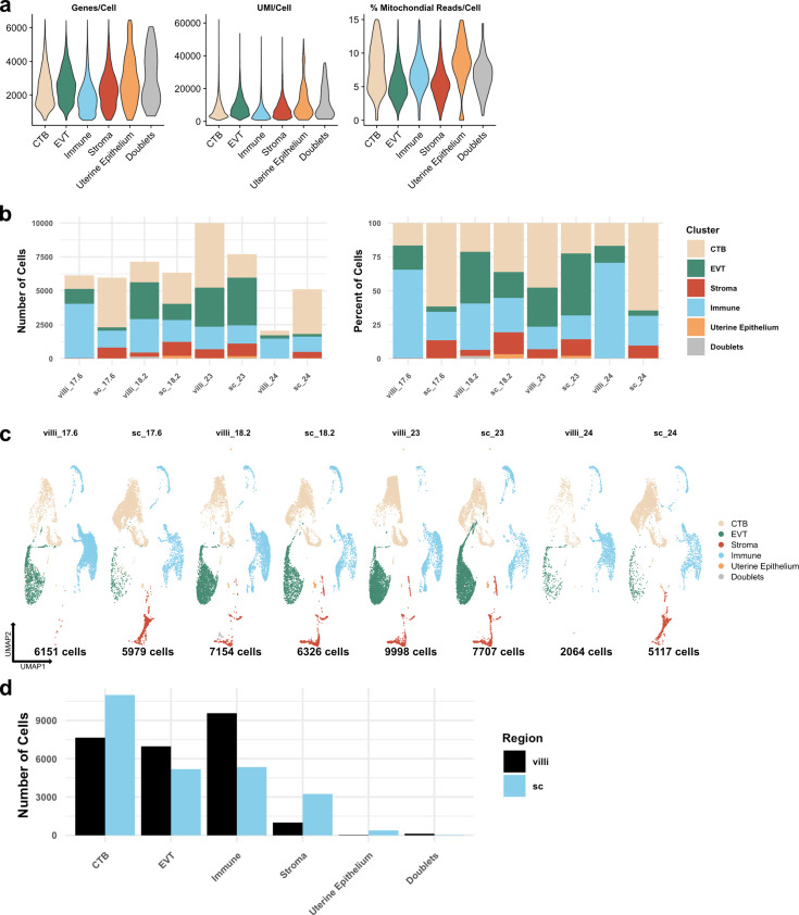 Figure 1—figure supplement 1.