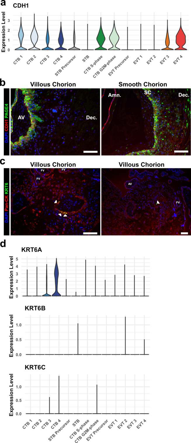 Figure 2—figure supplement 4.