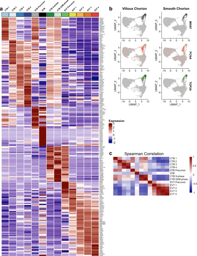 Figure 2—figure supplement 2.