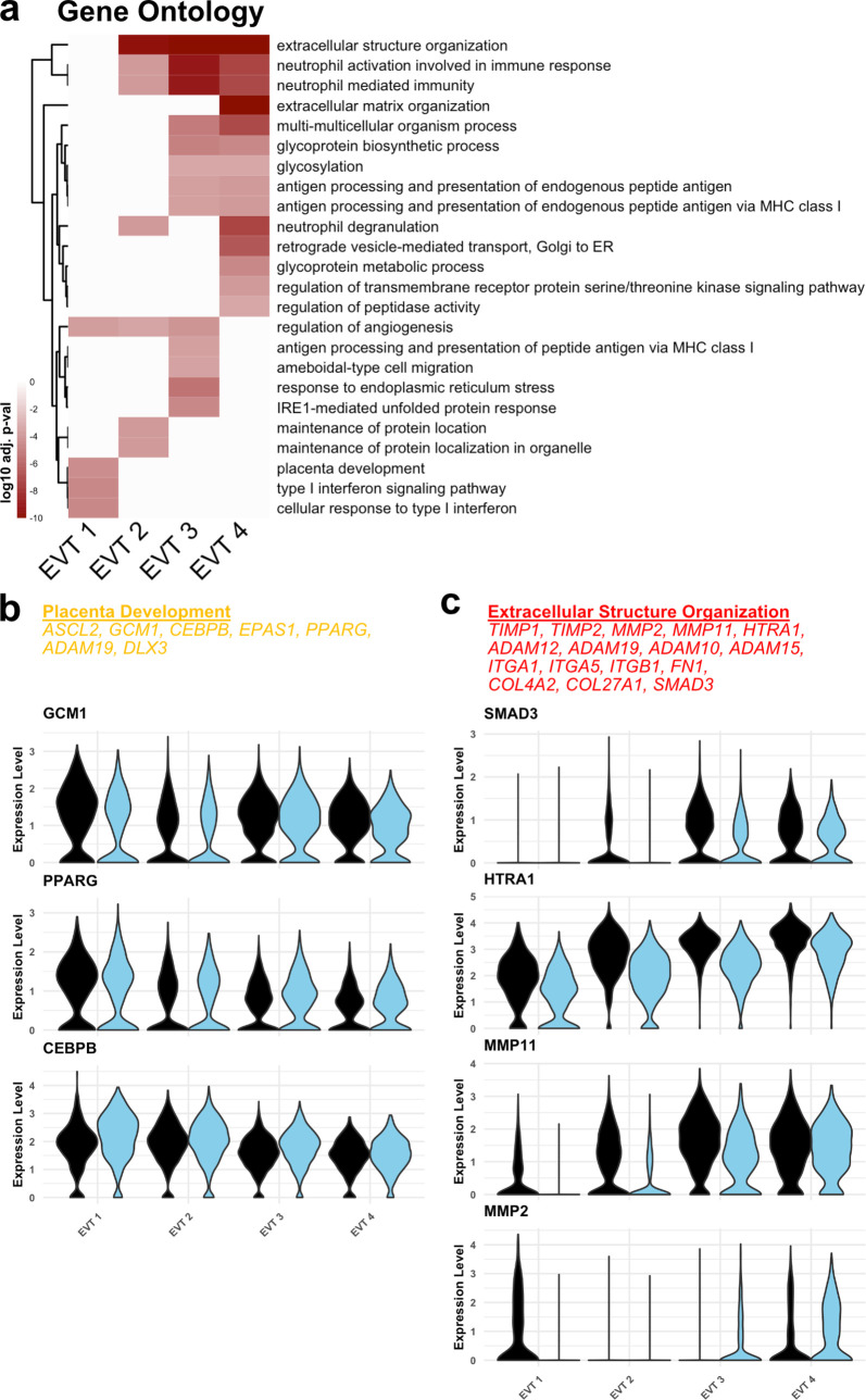 Figure 5—figure supplement 1.