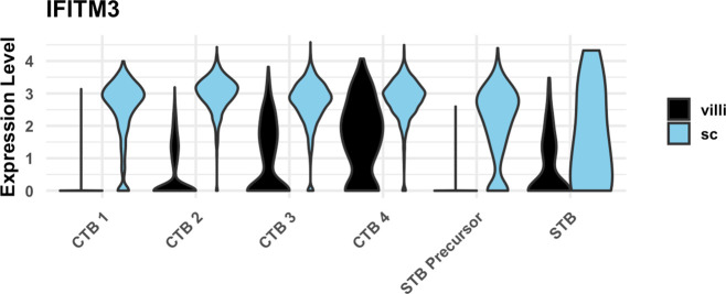 Figure 4—figure supplement 4.