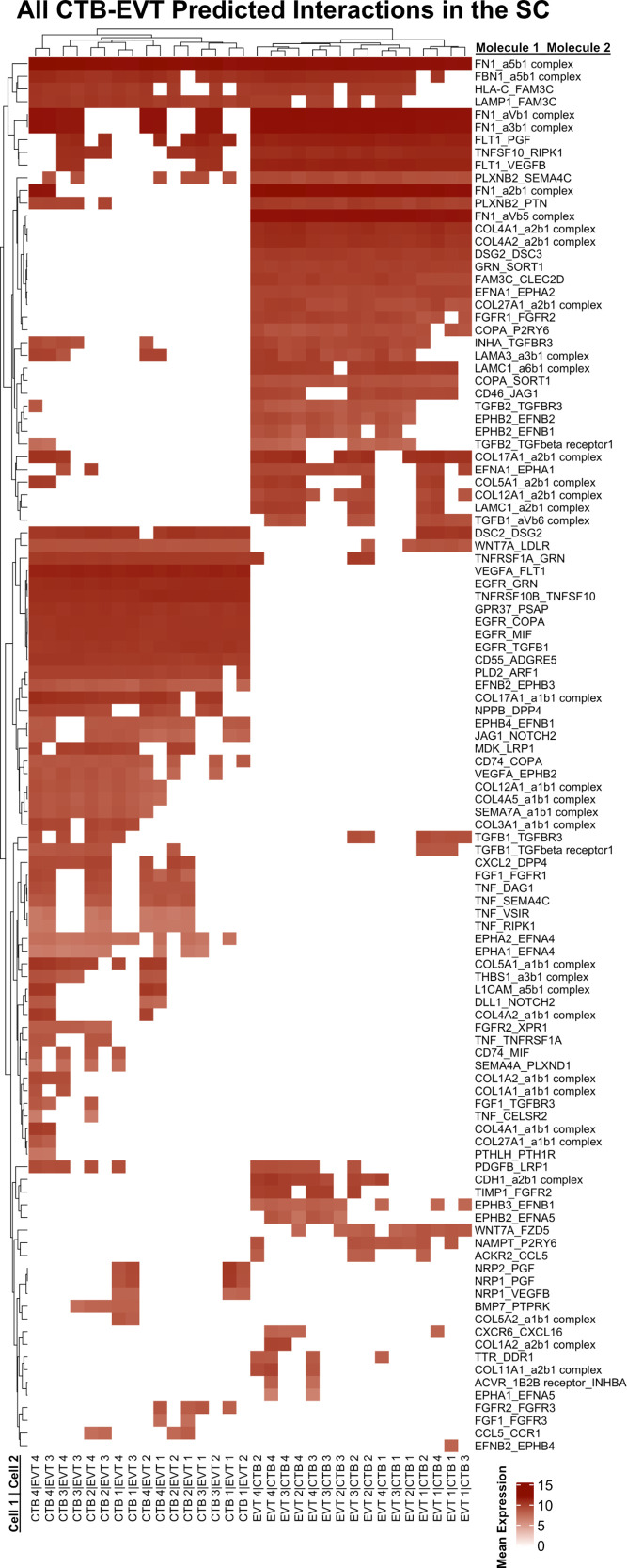 Figure 6—figure supplement 4.