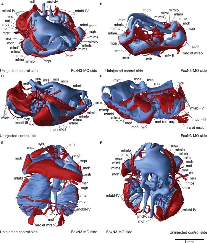 Fig. 5