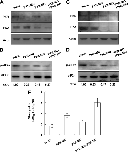 Fig. 6.