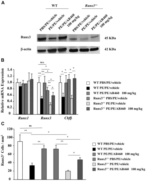 Fig 5