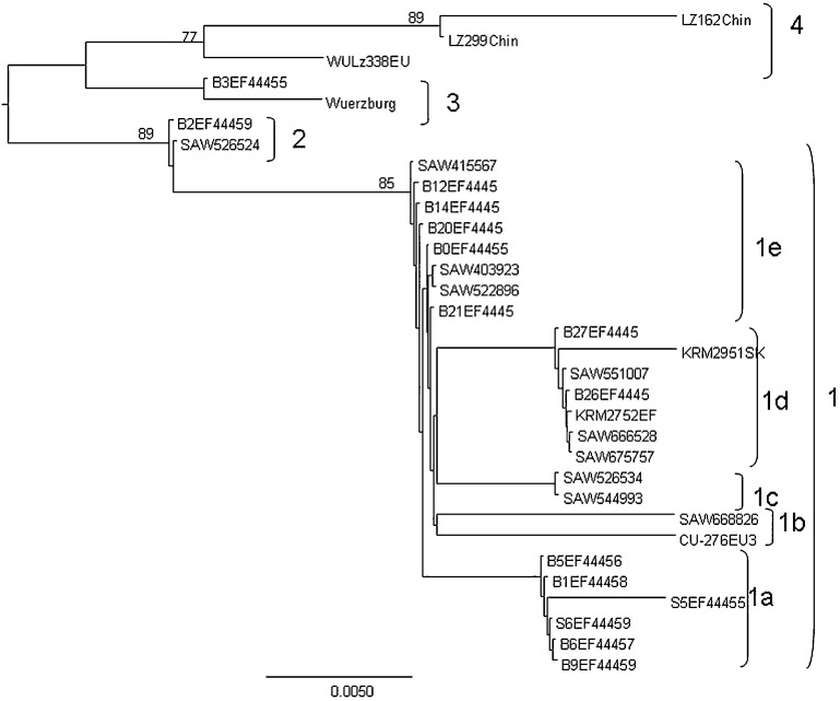 Fig. 1