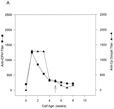 FIG. 7