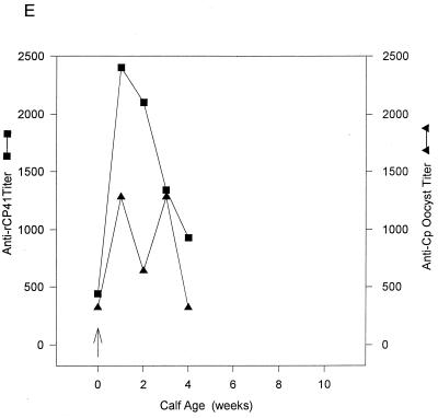 FIG. 7