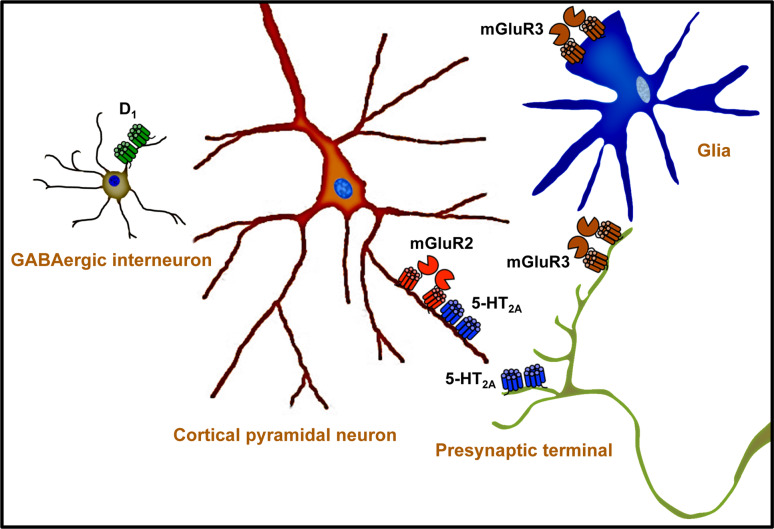 Fig. 1