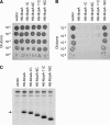FIG. 6.