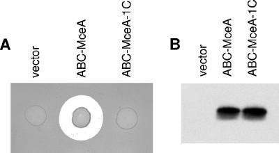 FIG. 5.