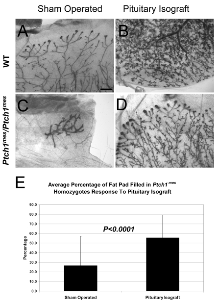 Fig. 8.