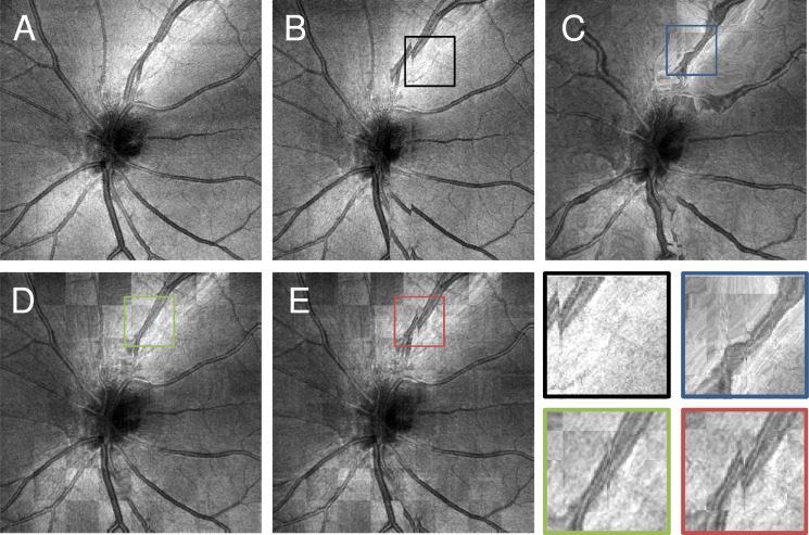 Fig. 6