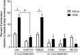 Fig 9