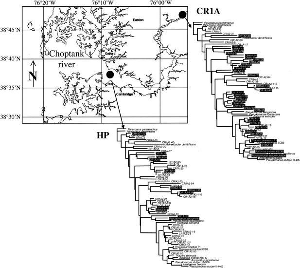 FIG. 6.