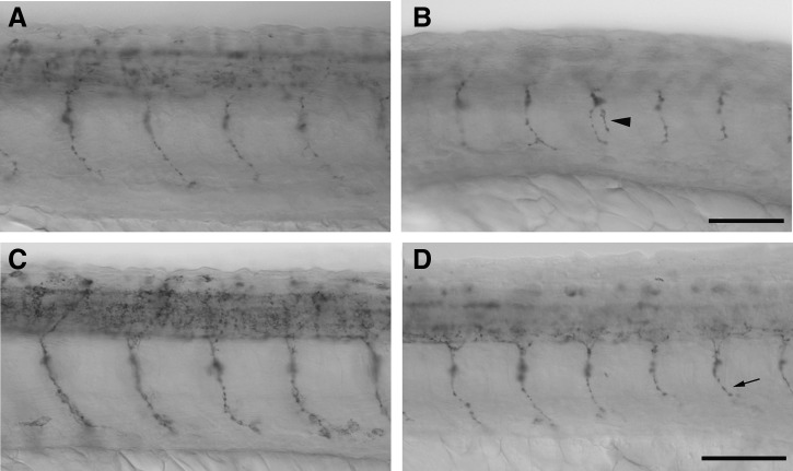 FIG. 6.