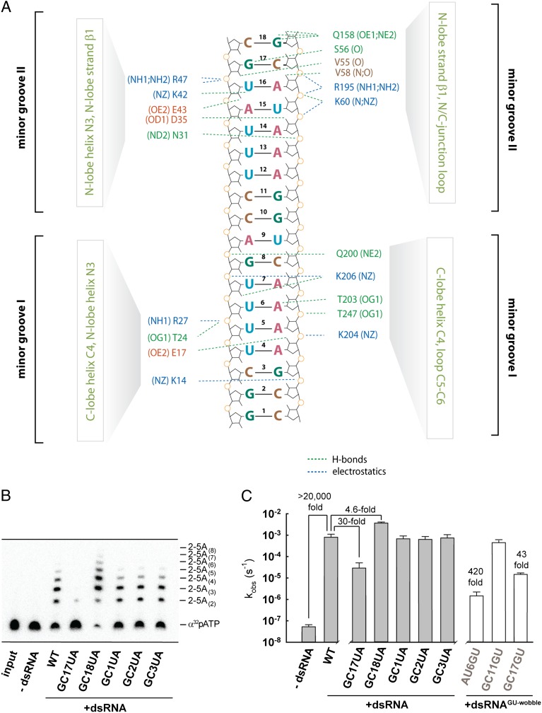 Fig. 2.