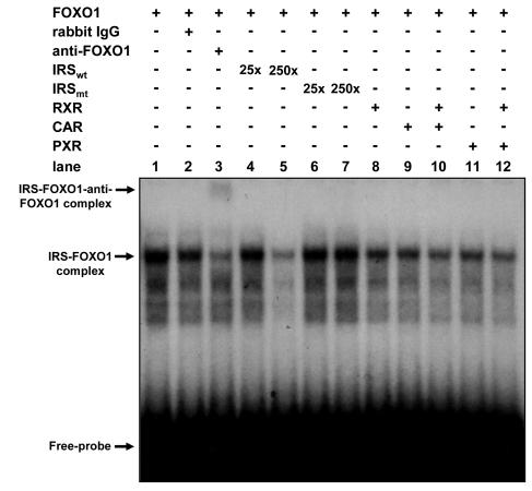 FIG. 8.