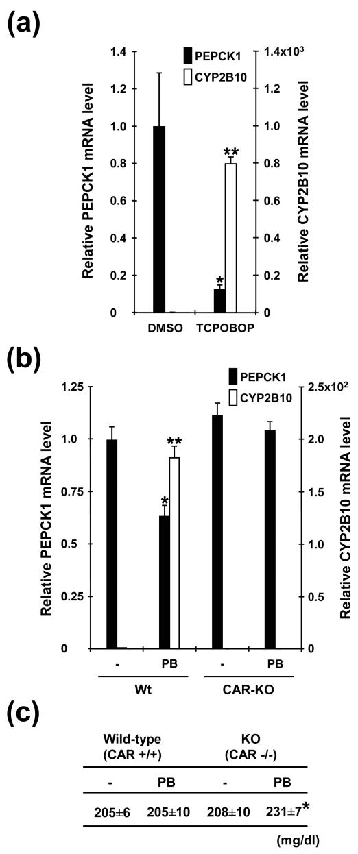 FIG. 9.