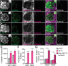 Figure 12.