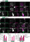 Figure 11.