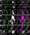 Figure 17.