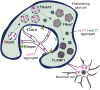 Figure 18.