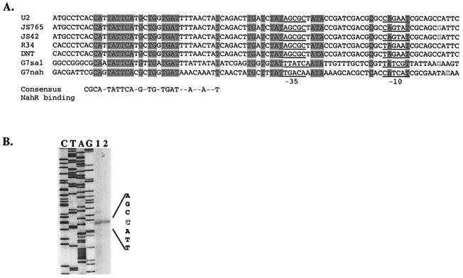 FIG. 2.