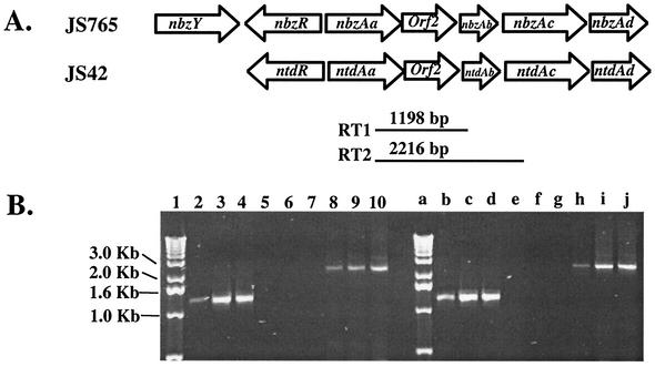 FIG. 1.