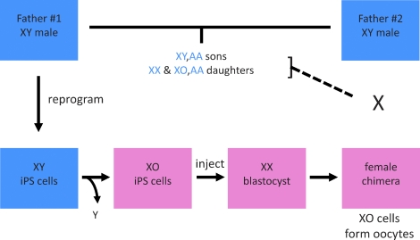 FIG. 1.